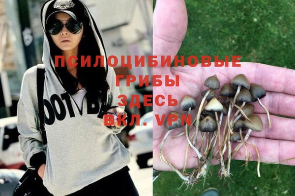 дживик Заволжск