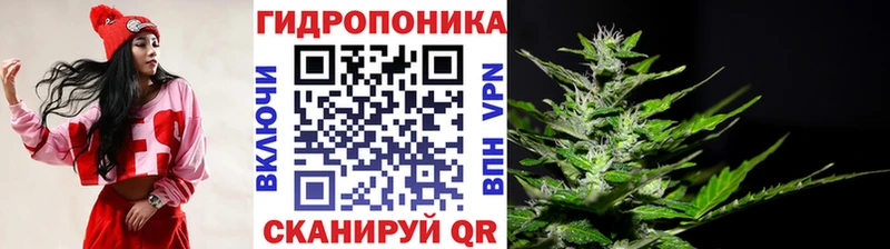 Бошки марихуана семена Кандалакша